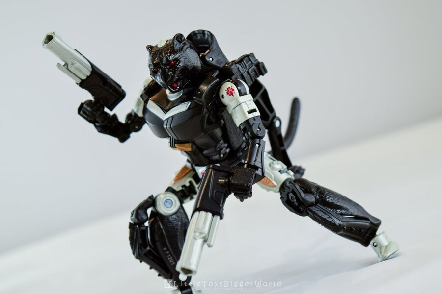 Hasbro Fans Expo 2012 Covert Agent Ravage Decepticons Forever 2 Pack  (8 of 11)